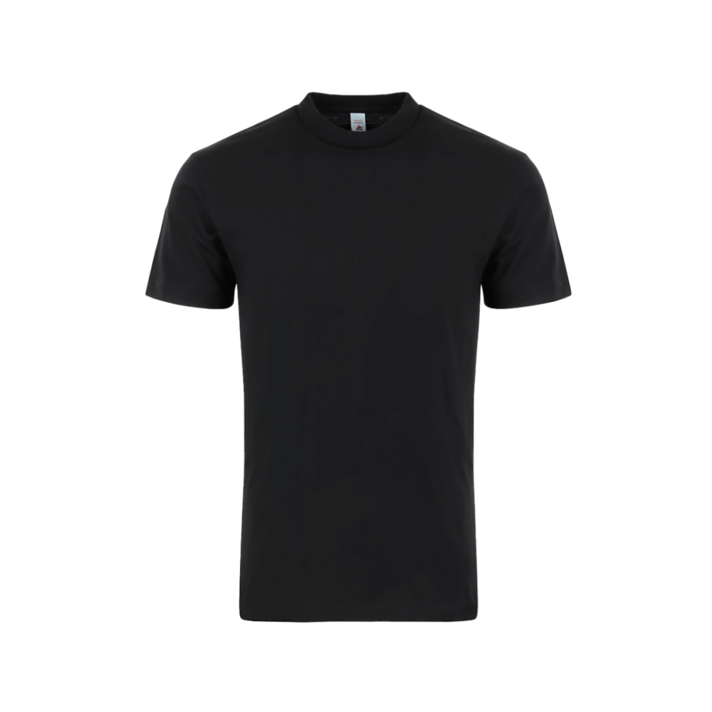 Copy of Standard Heavy Weight Tee - M120